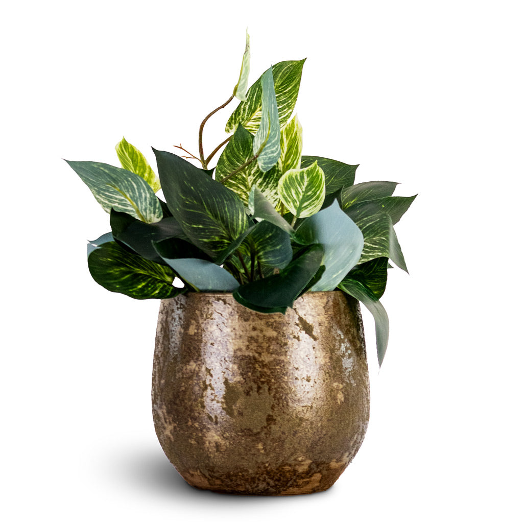 Scindapsus Bush Green White Potted Artificial 55cm House Plant In Rustic Pot Moss Green 21x19cm