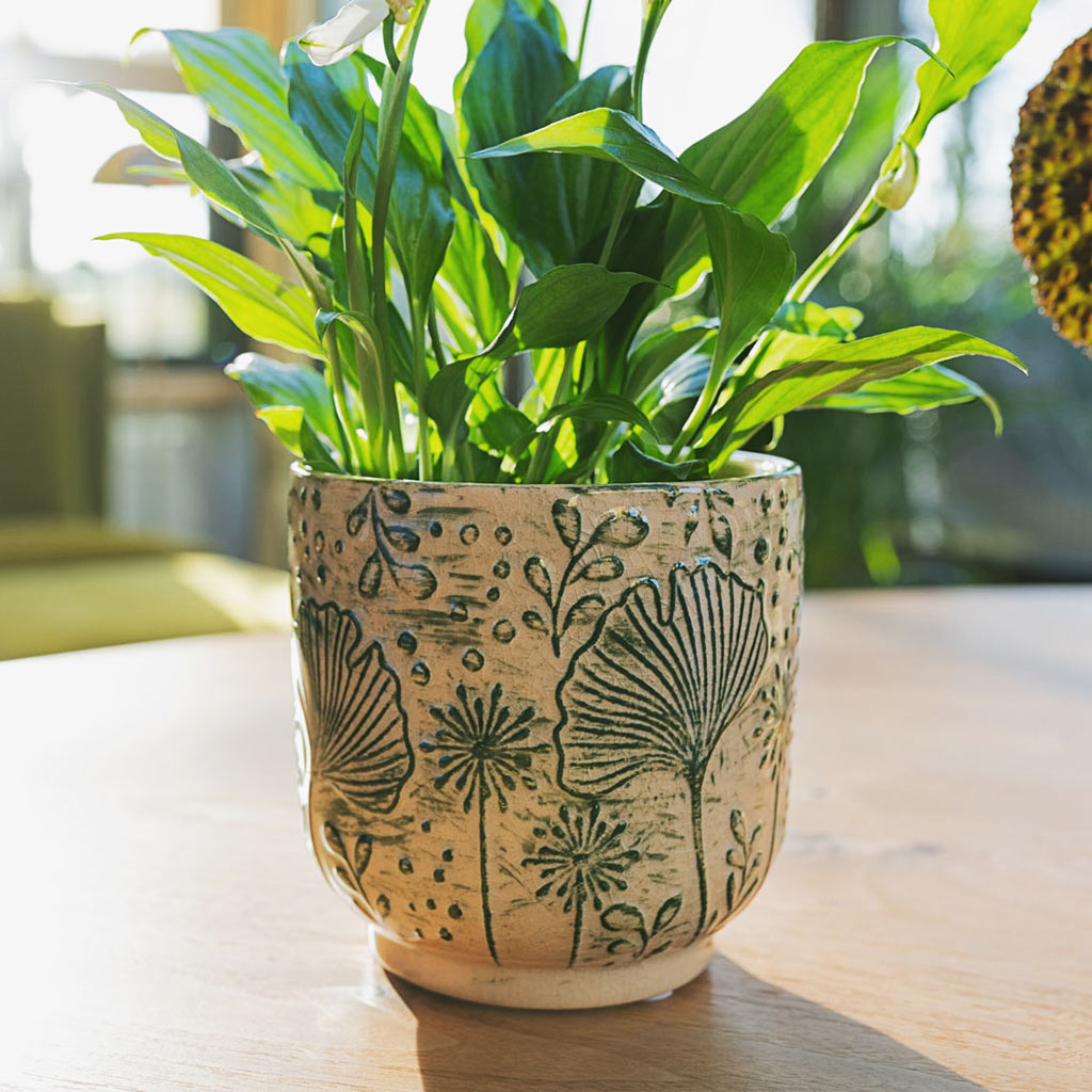 Spathiphyllum Bellini In Emilia Pot Green