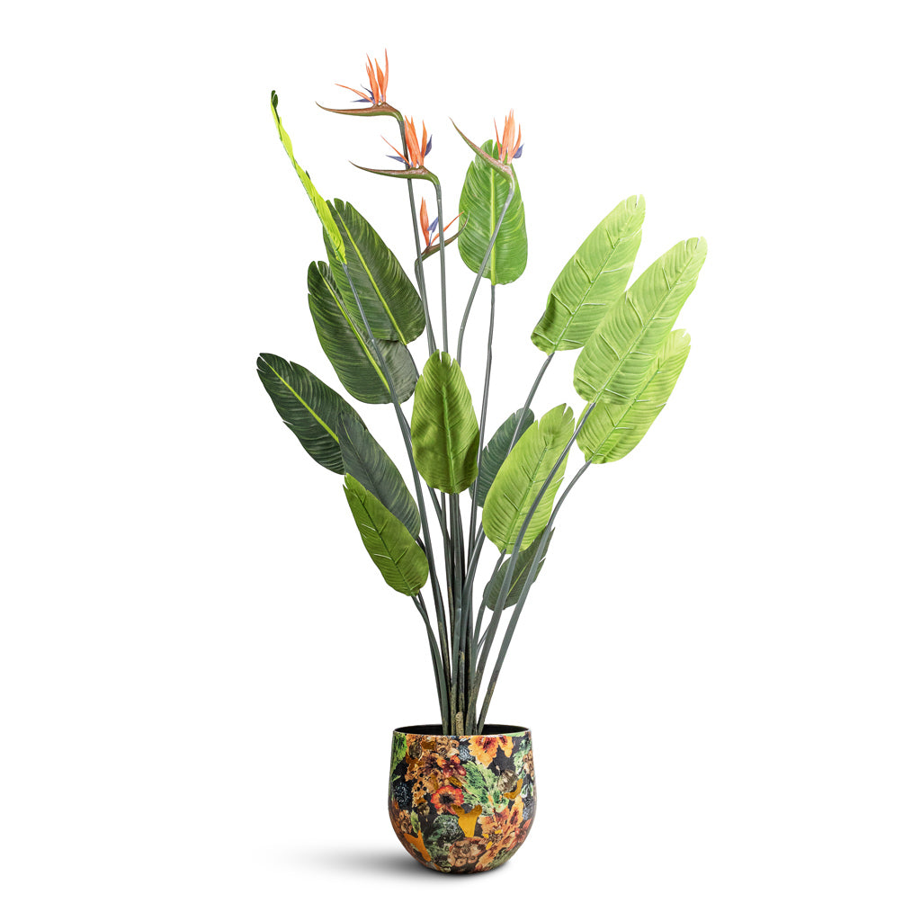 Strelitzia Flowering Bird of Paradise Artificial (4 flowers) Lammie Pot Berry Blue