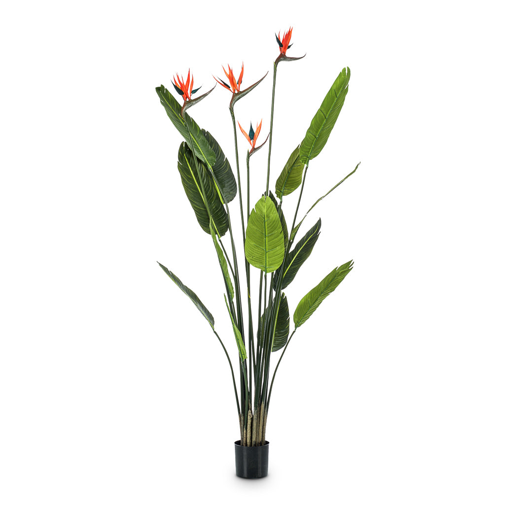 Strelitzia Tree Flowers Artifical - 150cm