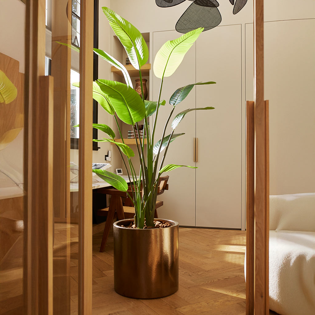 Strelitzia Nicolai Artificial In Bed Room