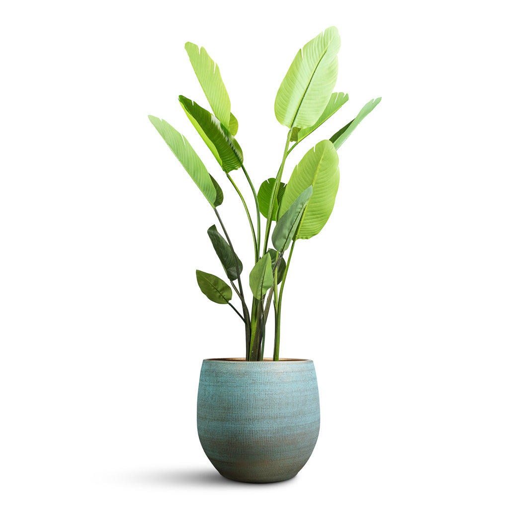 Strelitzia nicolai Giant Bird of Paradise Artificial In Ryan Pot Blue Gold