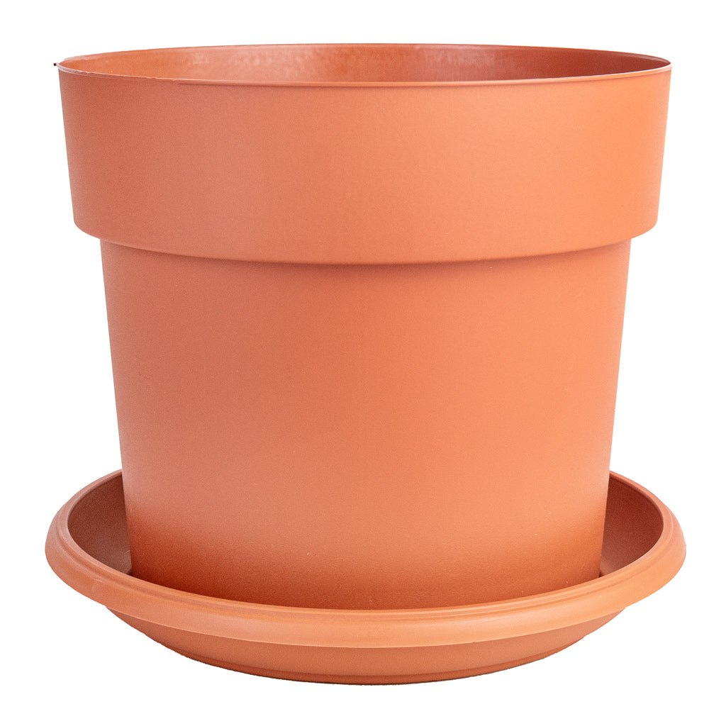 Houseplant Grow Pot & Saucer - Terracotta