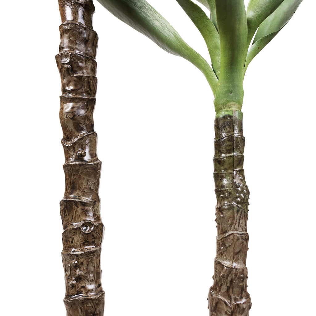 Yucca Artificial Close Up Of Stems