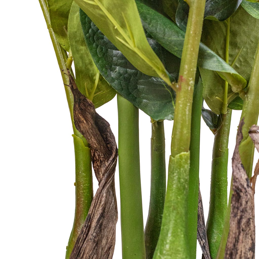 Zamioculcas zamiifolia ZZ Artificial Stems