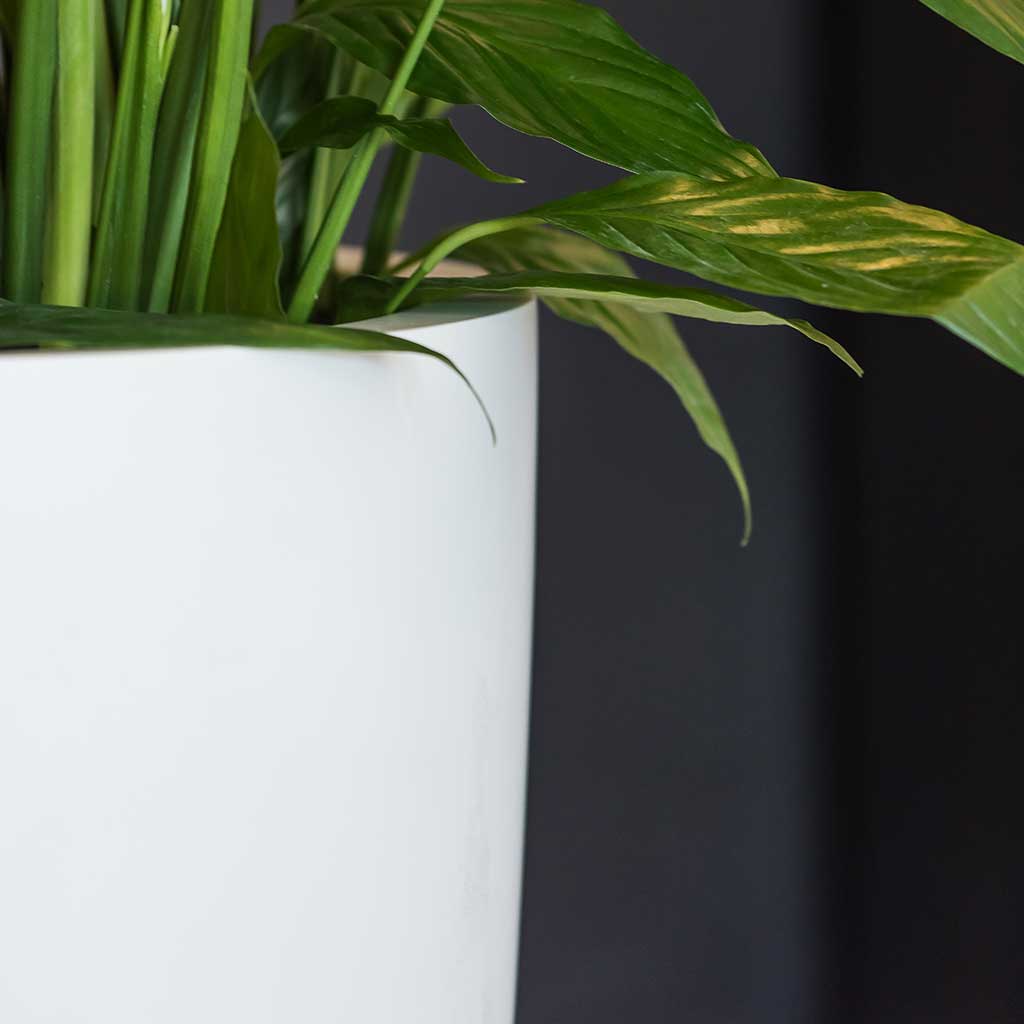 Ben Essentials Planter - Matt White Interior Close