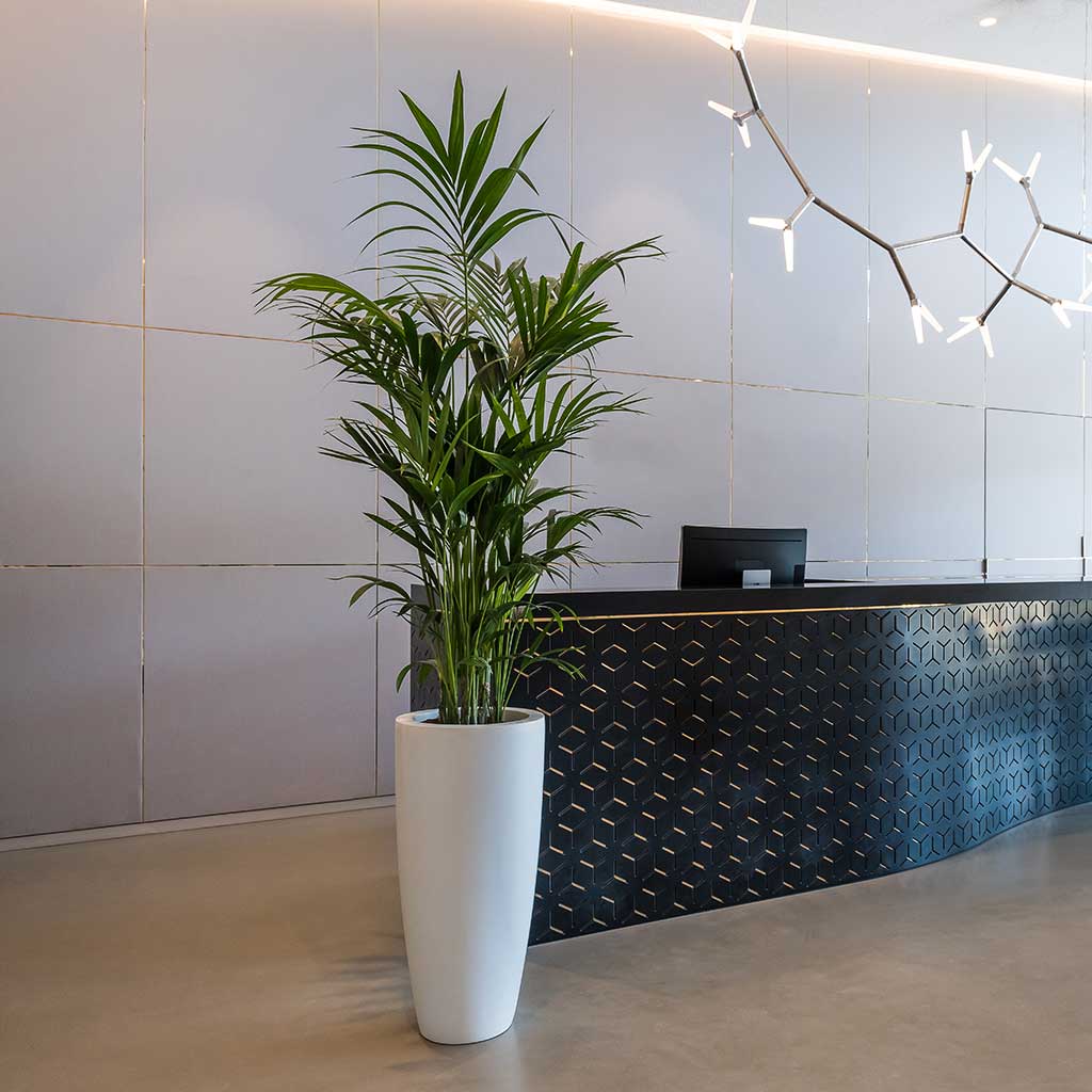 Dax Planter Essential Matte White Hotel Reception