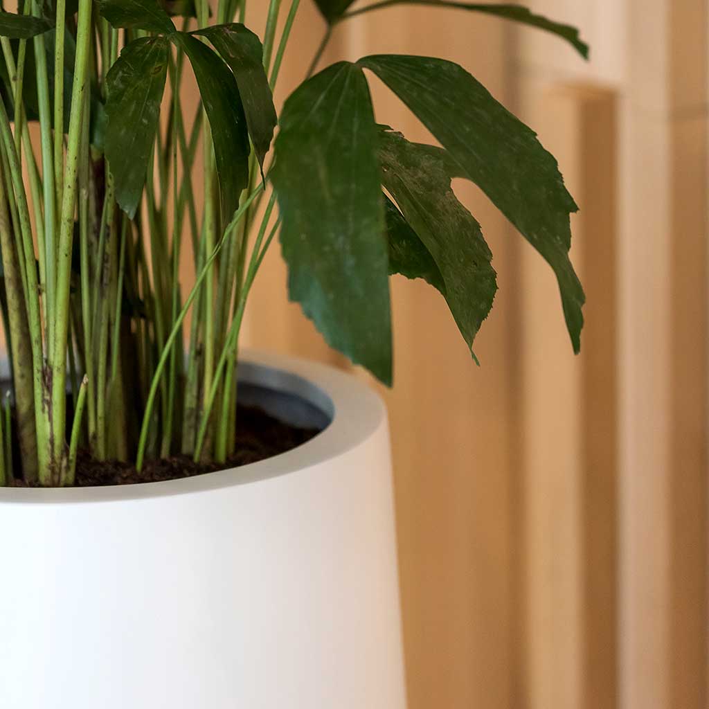 Nax Planter Essential Matte White Edge