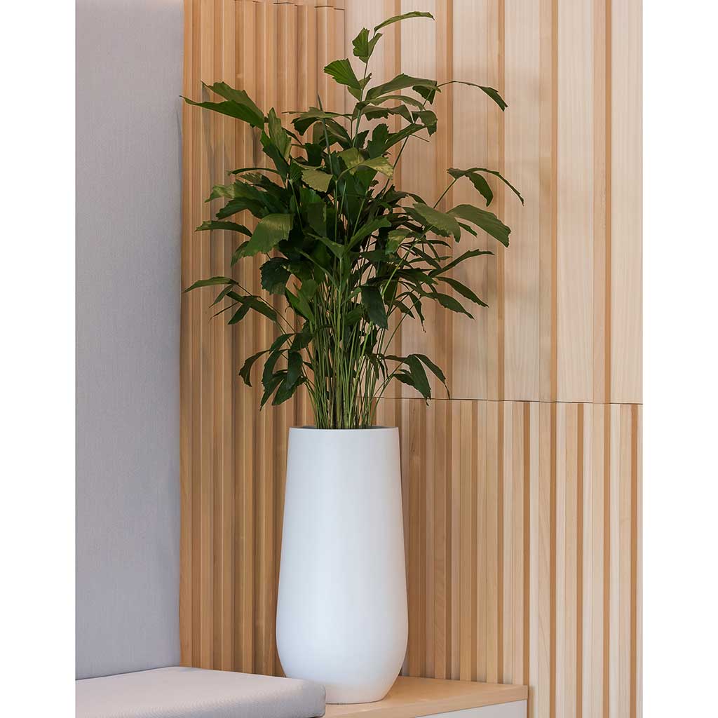 Nax Planter Essential Matte White - Office Plants