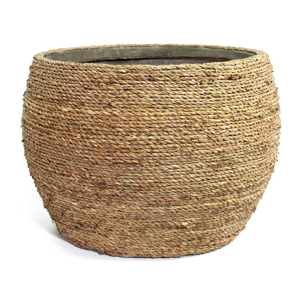 Abby Plant Pot Straw Grass Large