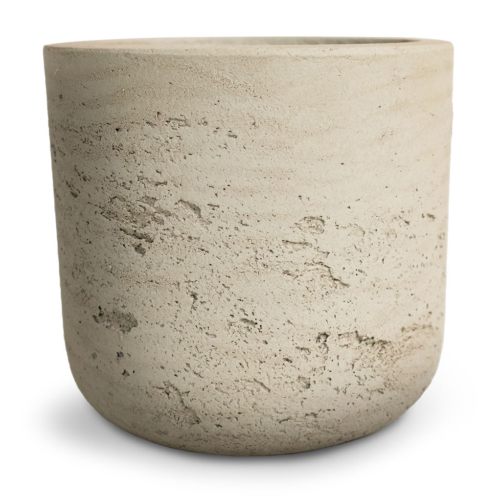 Charlie Plant Pot xs