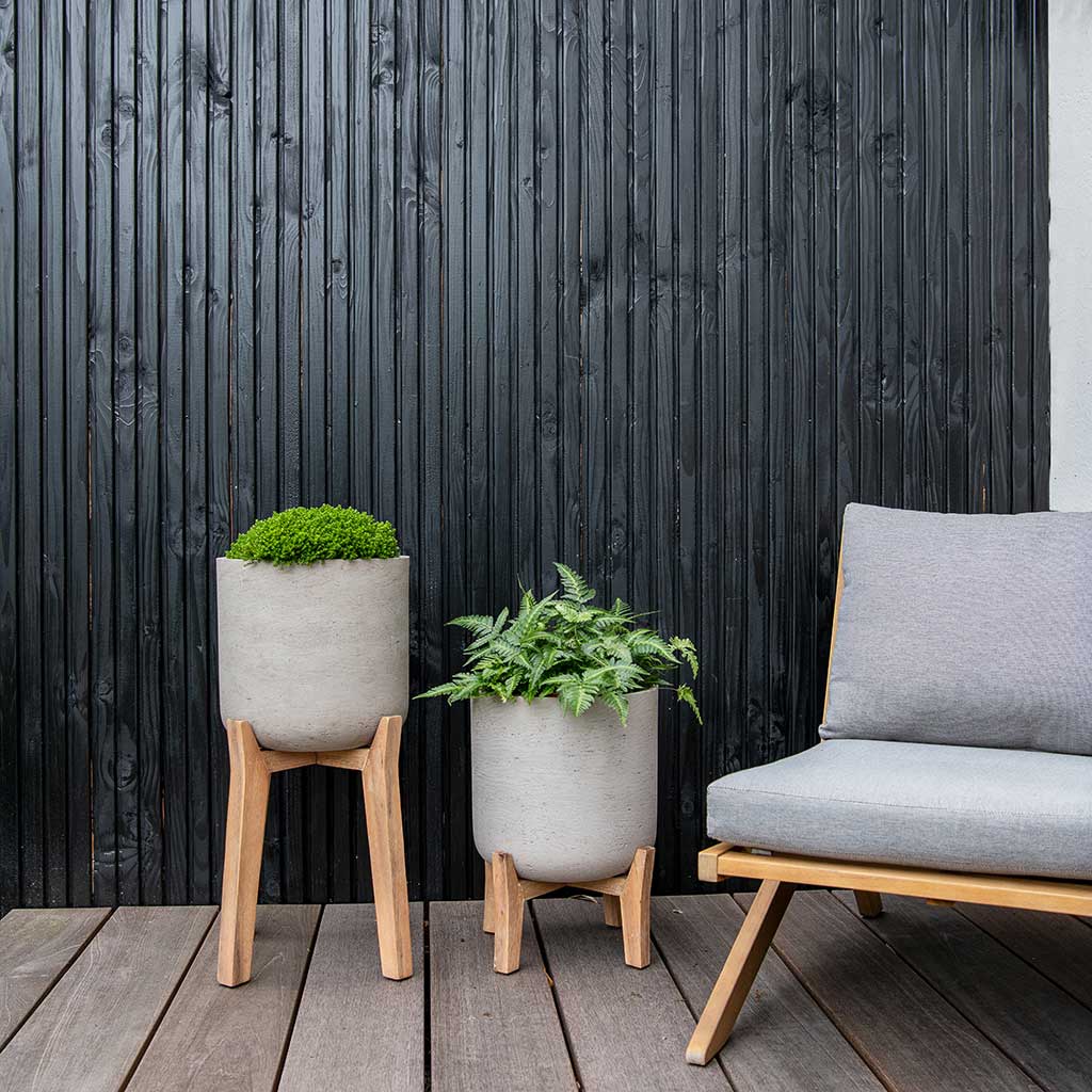 Charlie Plant Pot Low Stand Grey Washed with Plants Lifestyle