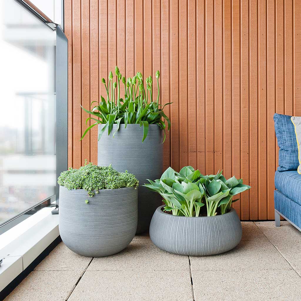 Cody & Eileen Planters - Ridged Cement