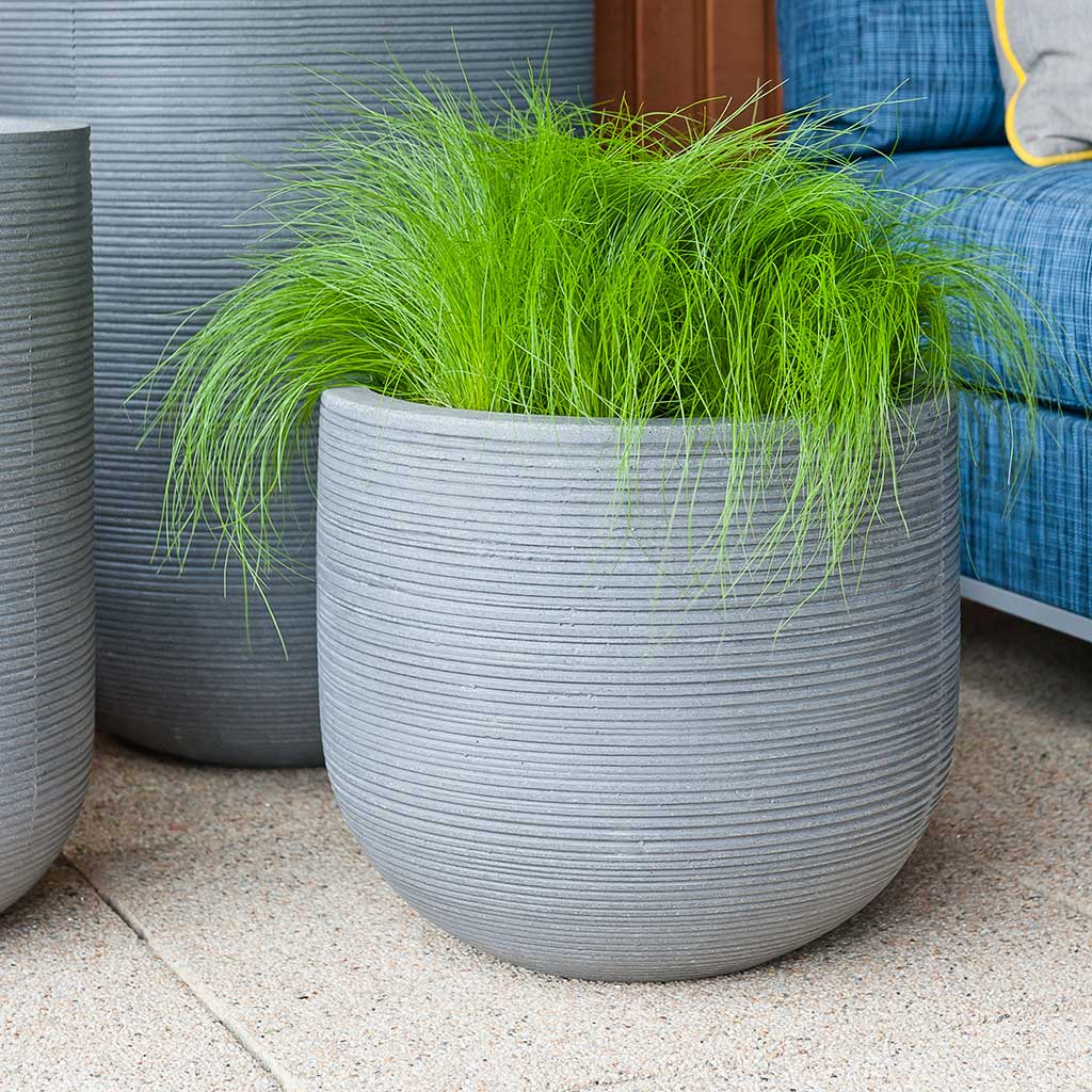 Cody Plant Pot - Ridged Dark Grey & Houseplant