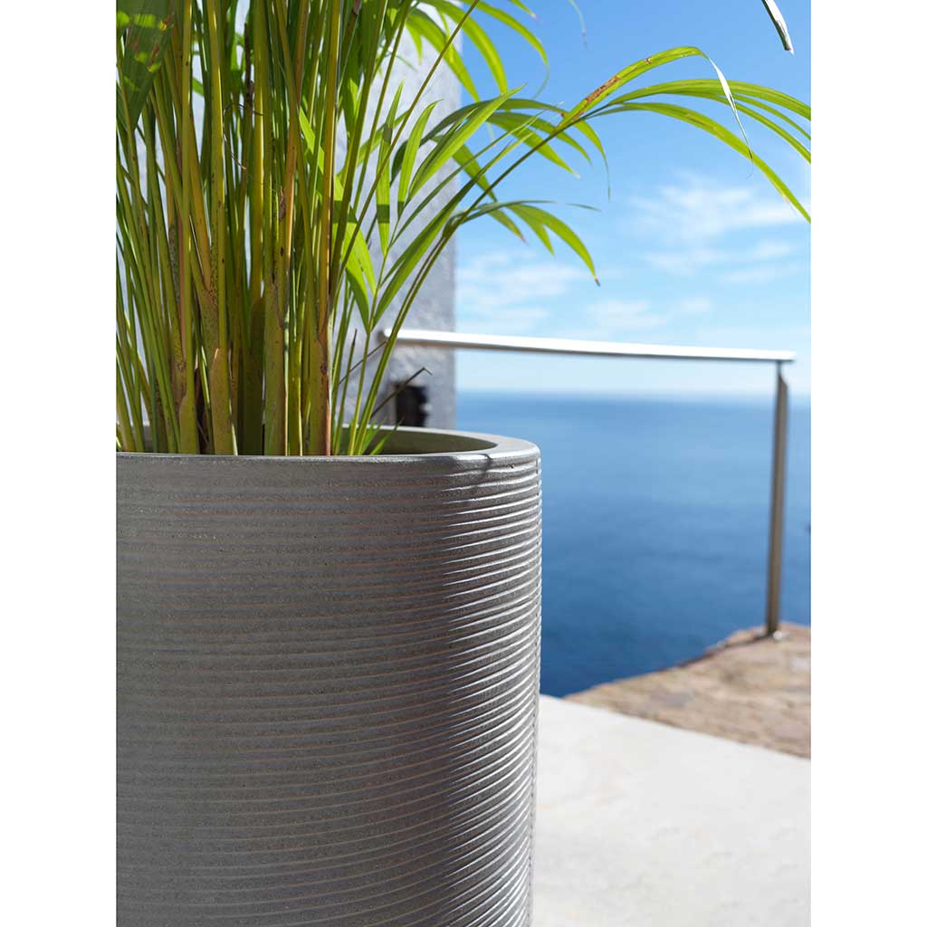 Cody Tall Planter - Ridged Dark Grey & Areca Palm
