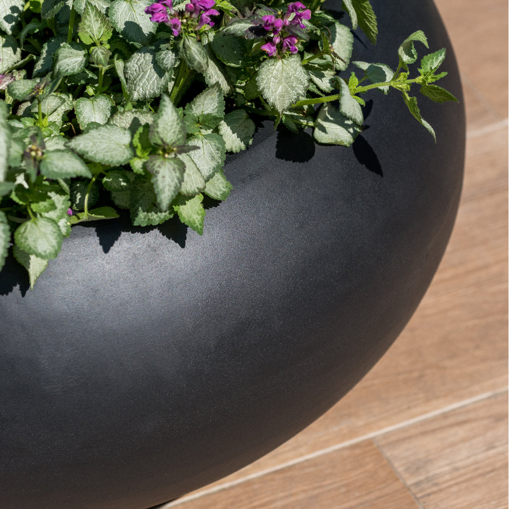 Cora Natural Bowl Planter - Black Edge