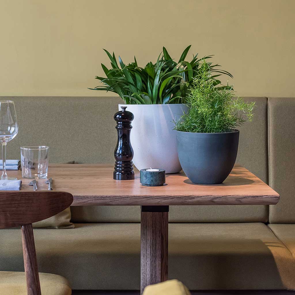 Coral Refined Planters Pine Green & Natural White & Houseplants