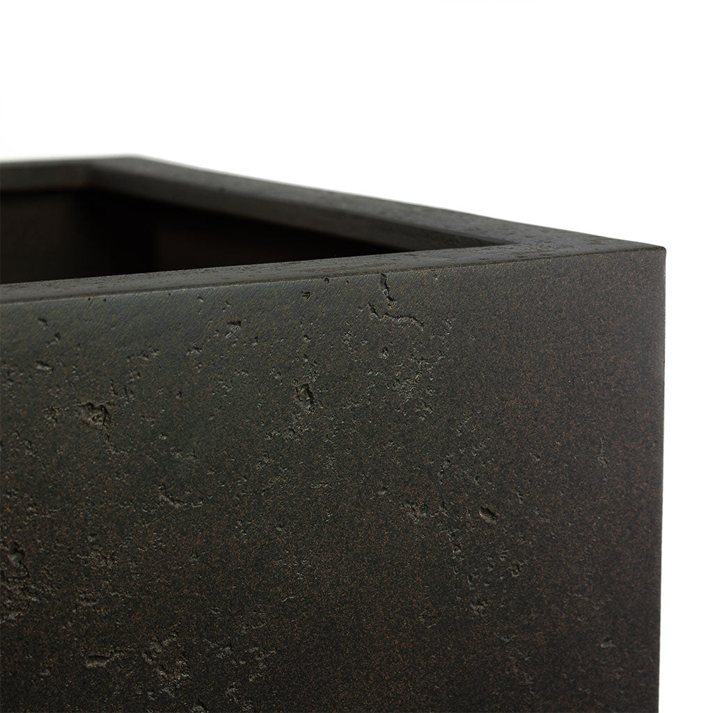 Grigio Cube Planter Rusty Iron Concrete Close-Up