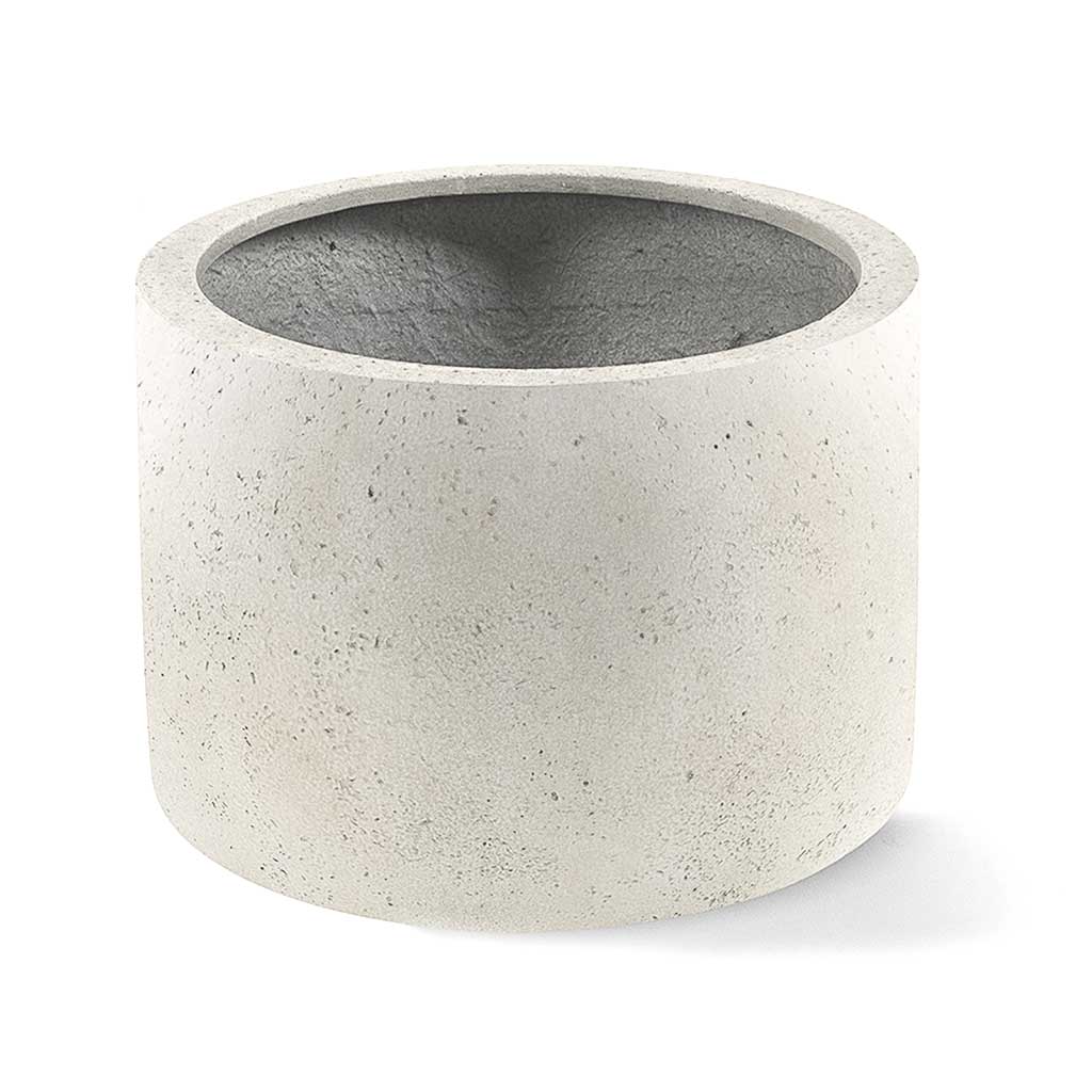 Grigio Cylinder Planter - Antique White Concrete