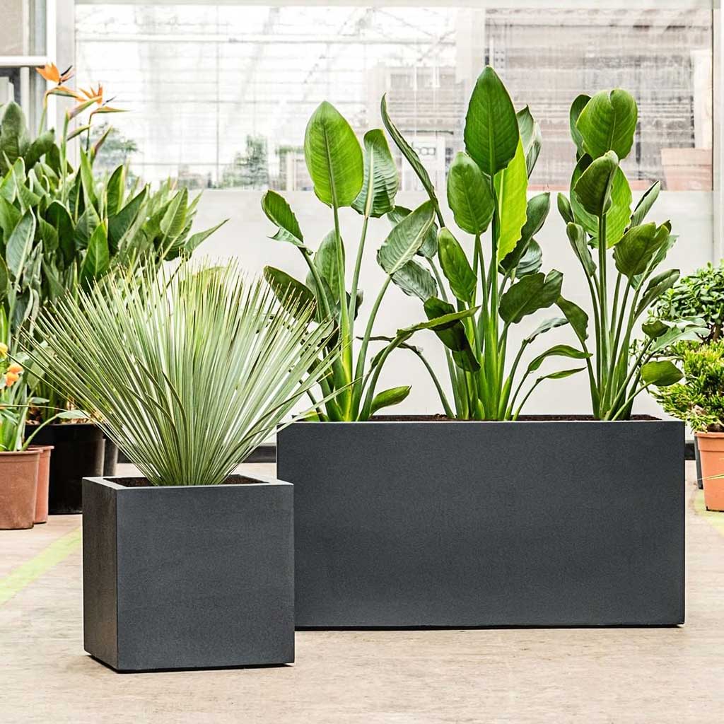Grigio Trough Planter - Anthracite Concrete & Plants