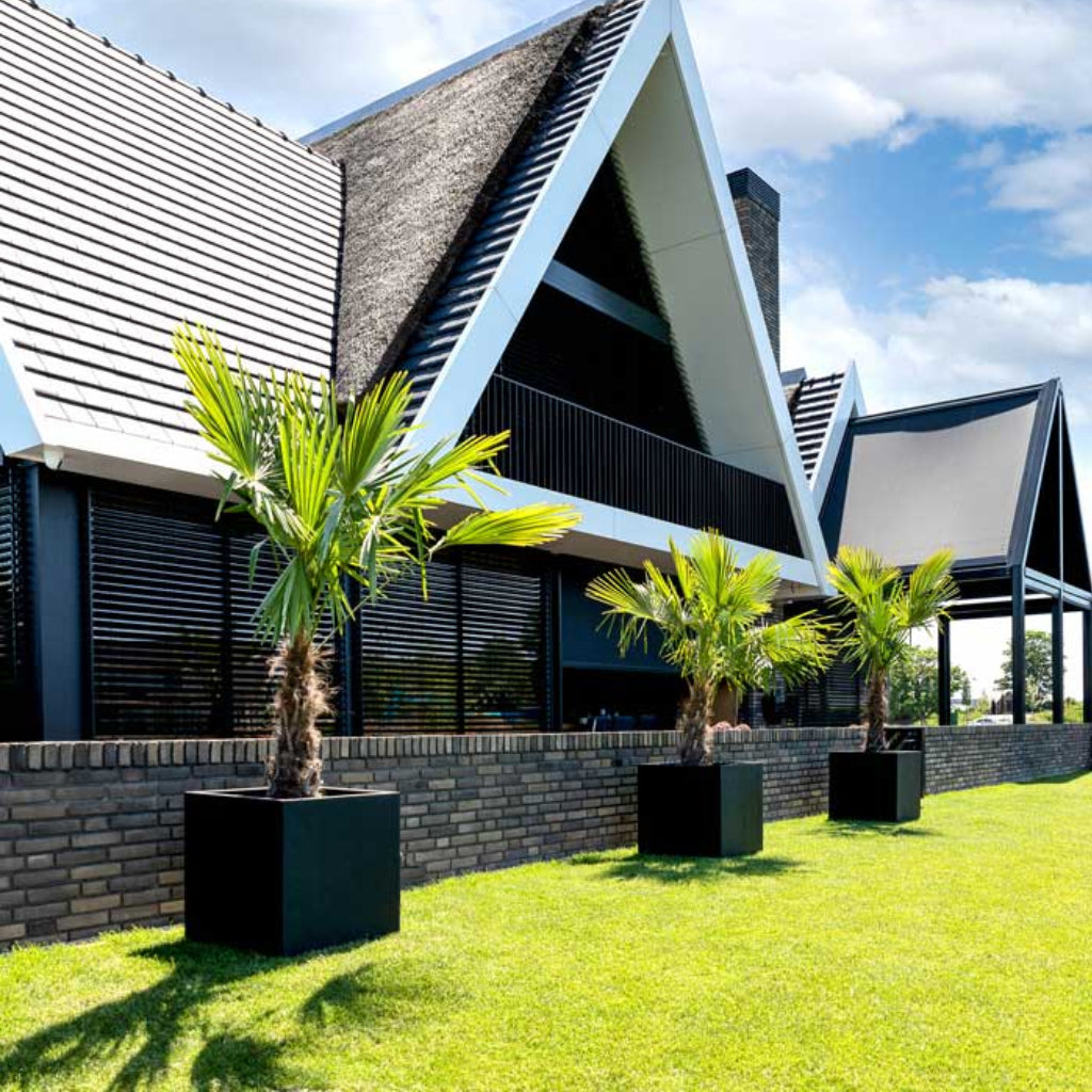 Grigio Cube Planter - Anthracite Concrete