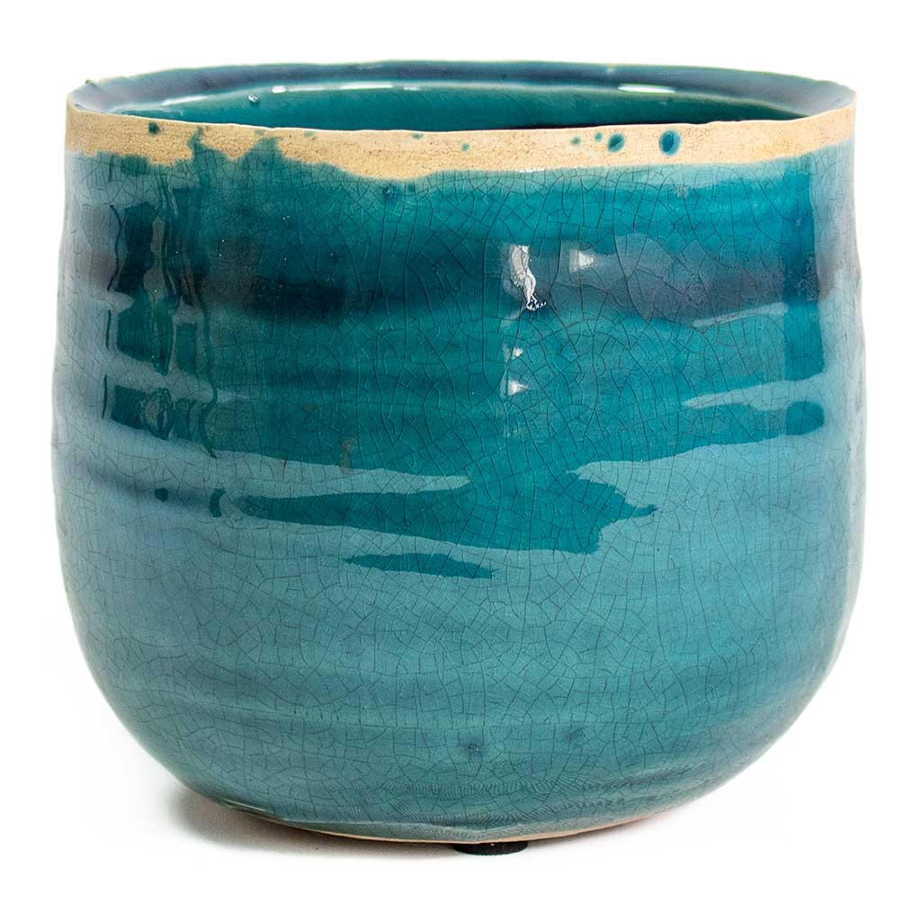 Iris Plant Pot - Turquoise Medium