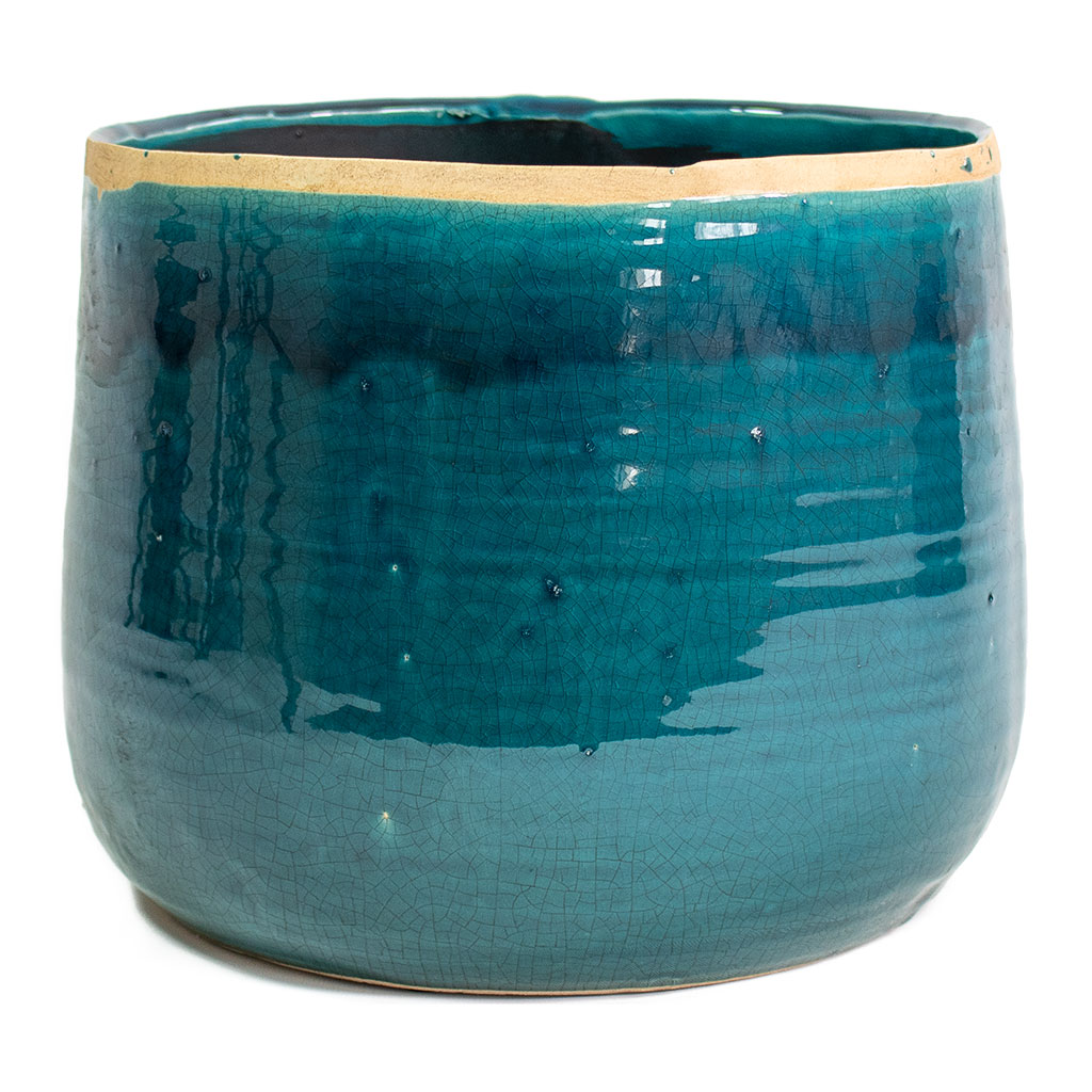 Iris Plant Pot - Turquoise Extra Large