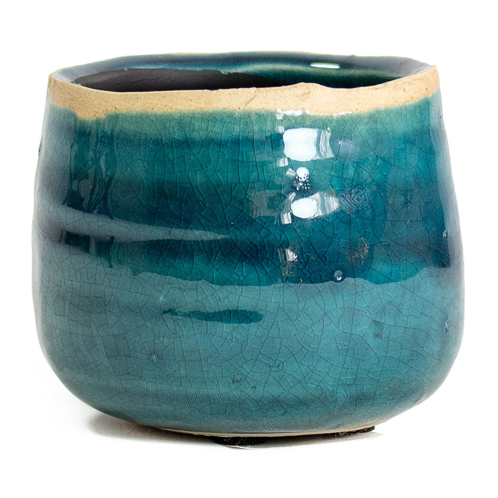 Iris Plant Pot - Turquoise Small
