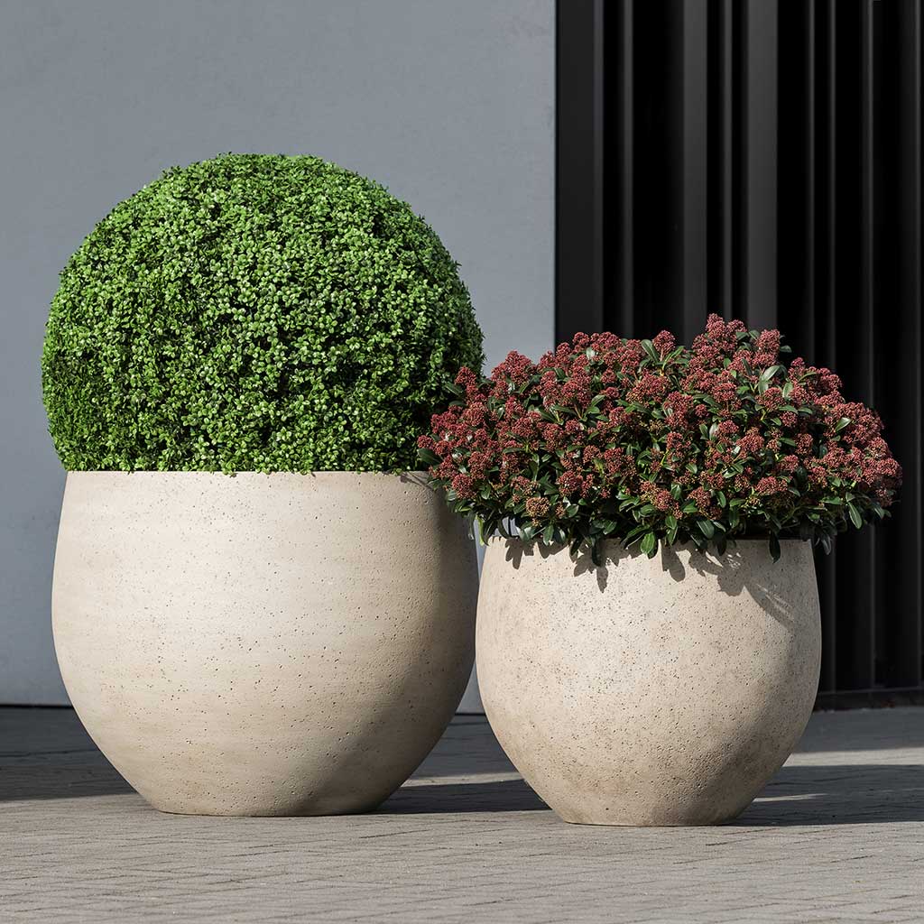 Jumbo Orb Planters - Stone Washed & Garden Plants