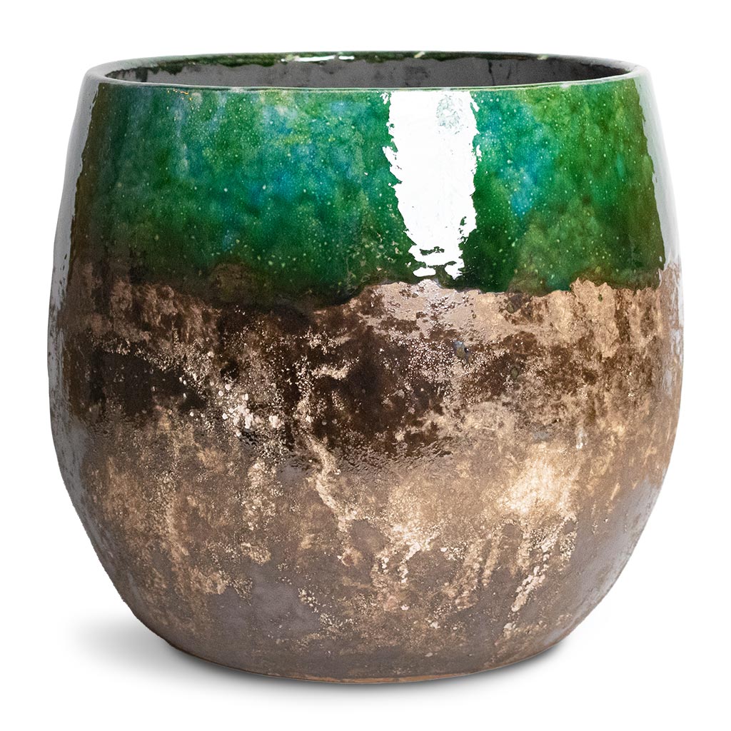 Lindy Plant Pot Black Green