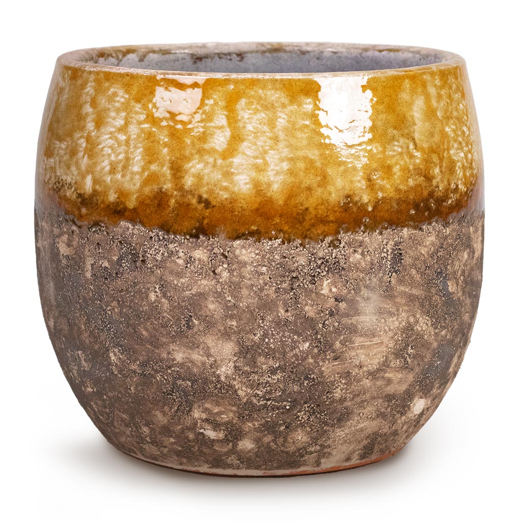 Lindy Plant Pot - Ochre Mid