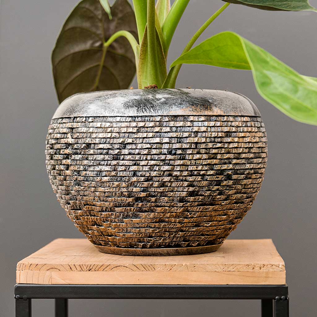 Luxe Lite Layer Globe Planter - Bronze - Small & Houseplant