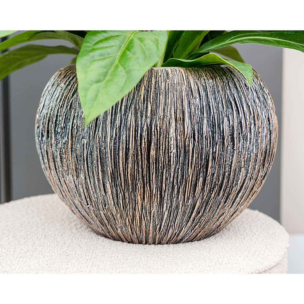 Luxe Lite Waterfall Globe Planter - Bronze - Small & Houseplant