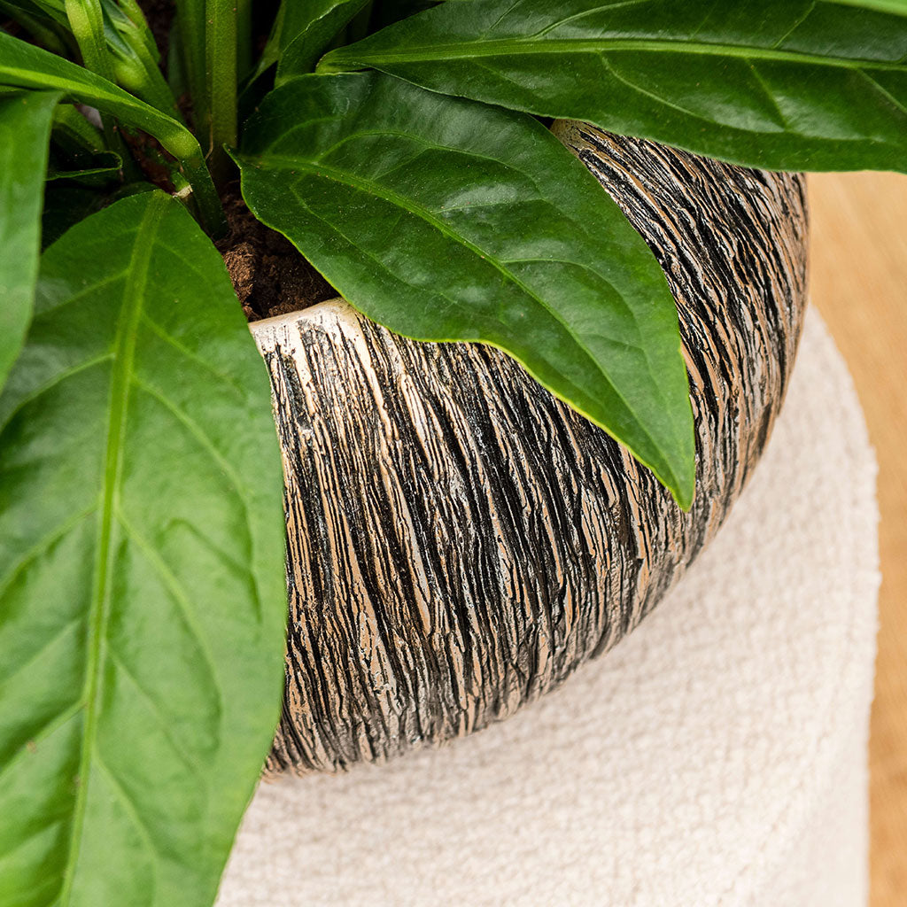 Luxe Lite Waterfall Globe Planter - Bronze from above