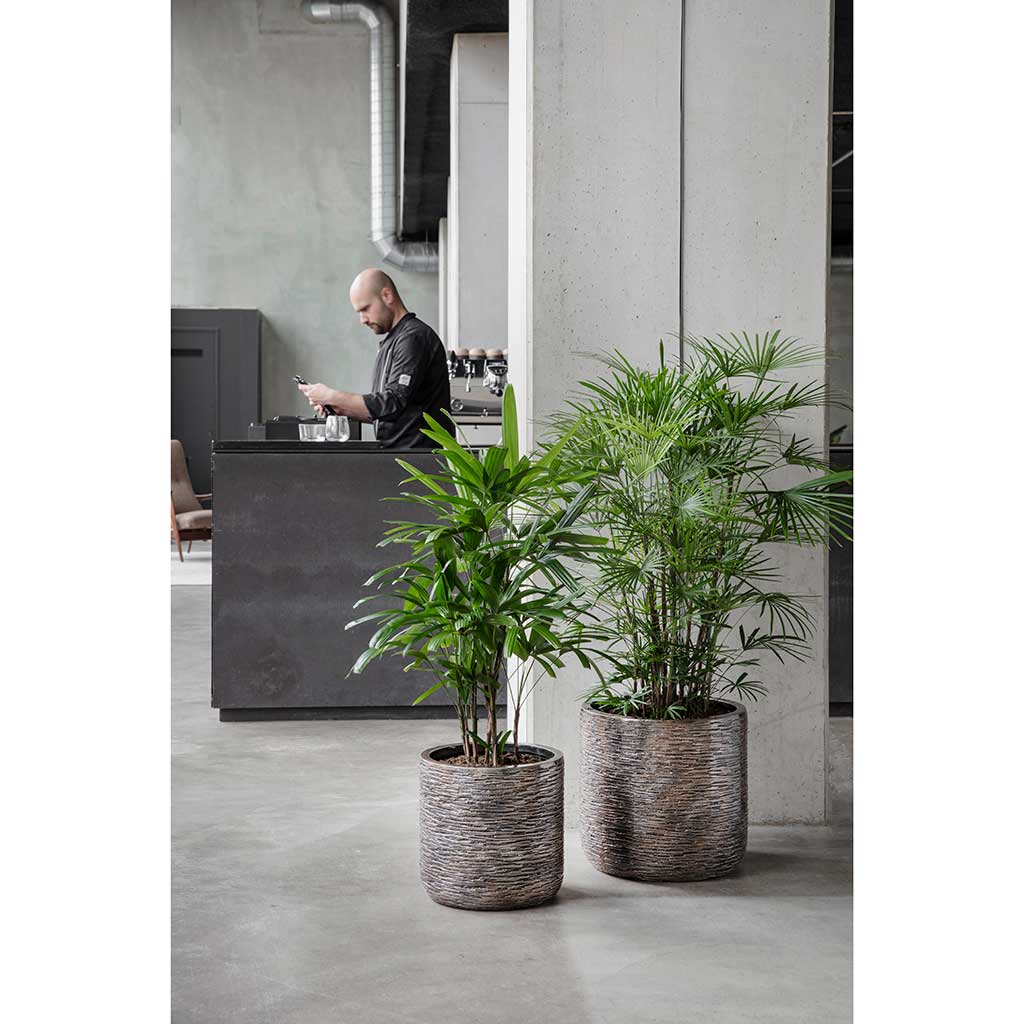 Luxe Lite Wrinkle Cylinder Planter Bronze Lifestyle