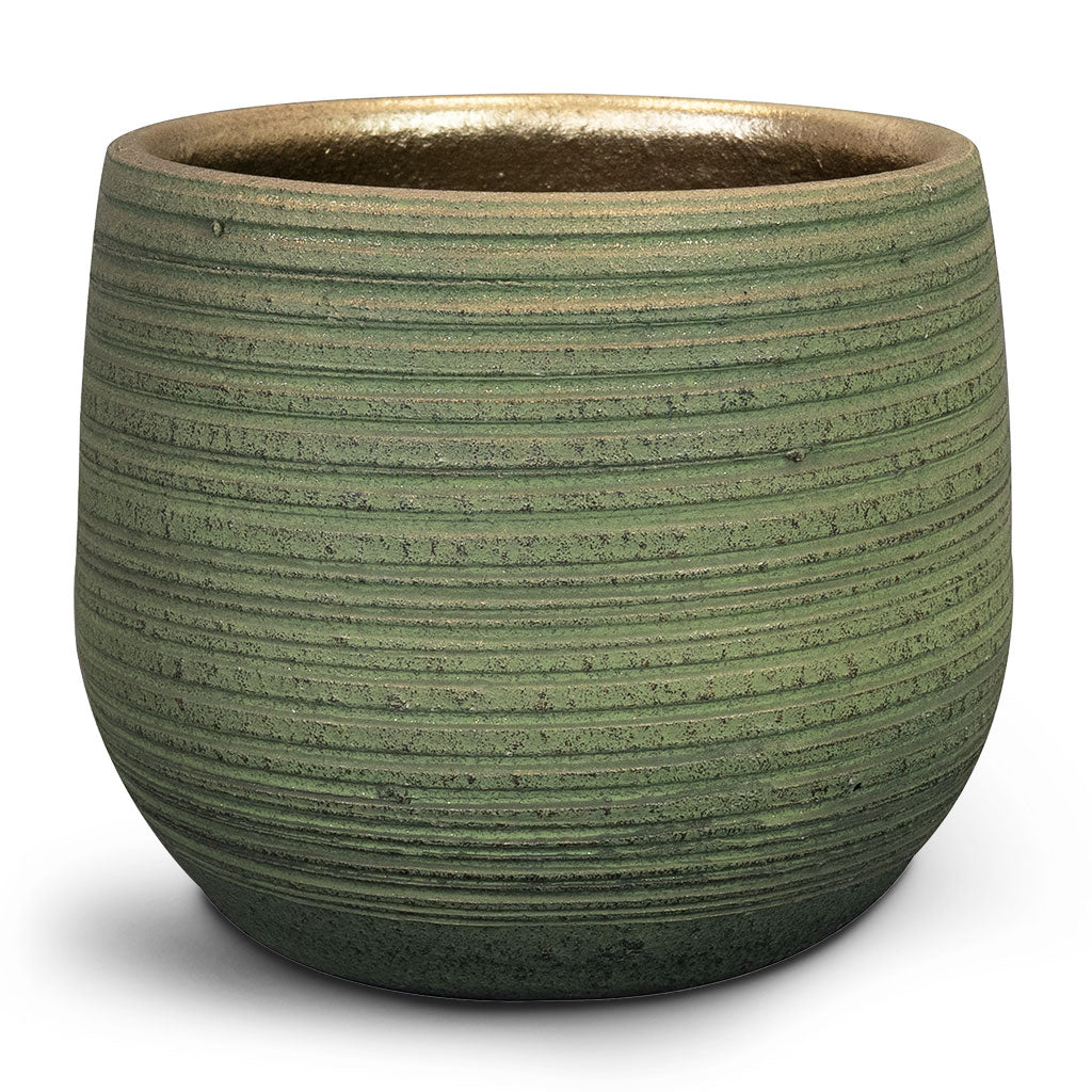 Lydia Plant Pot - Shiny Green Small