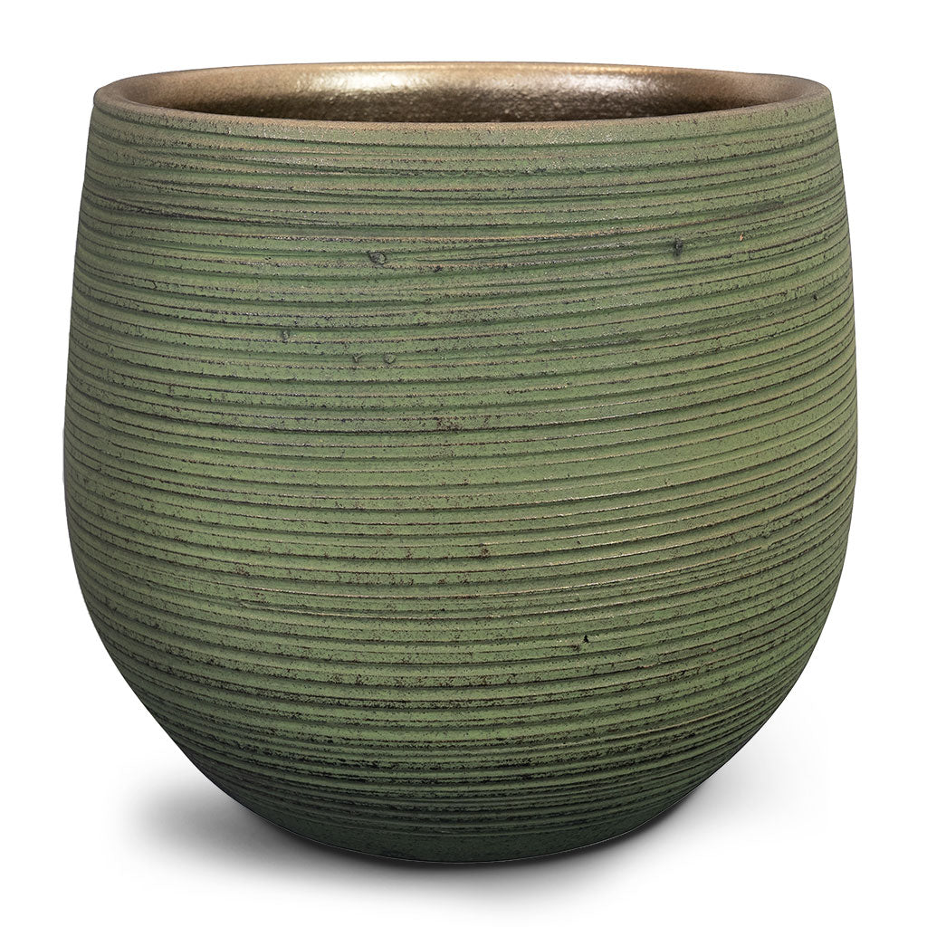 Lydia Plant Pot - Shiny Green Mid