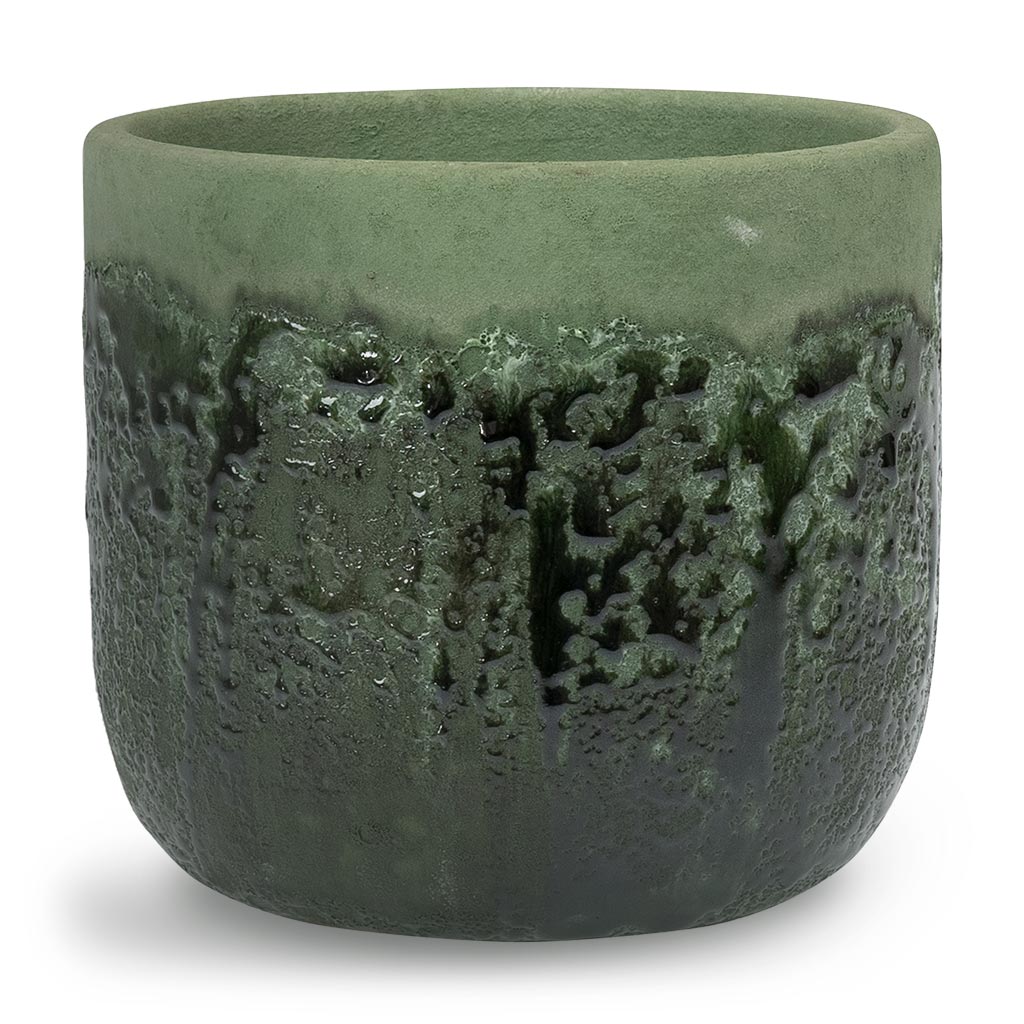Moon Plant Pot in Jungle Small