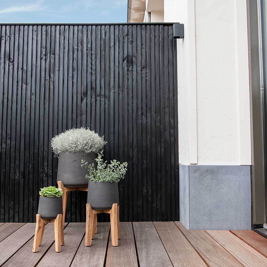 Patt Plant Pot Tall Stand Black Washed with Plants Lifestyle