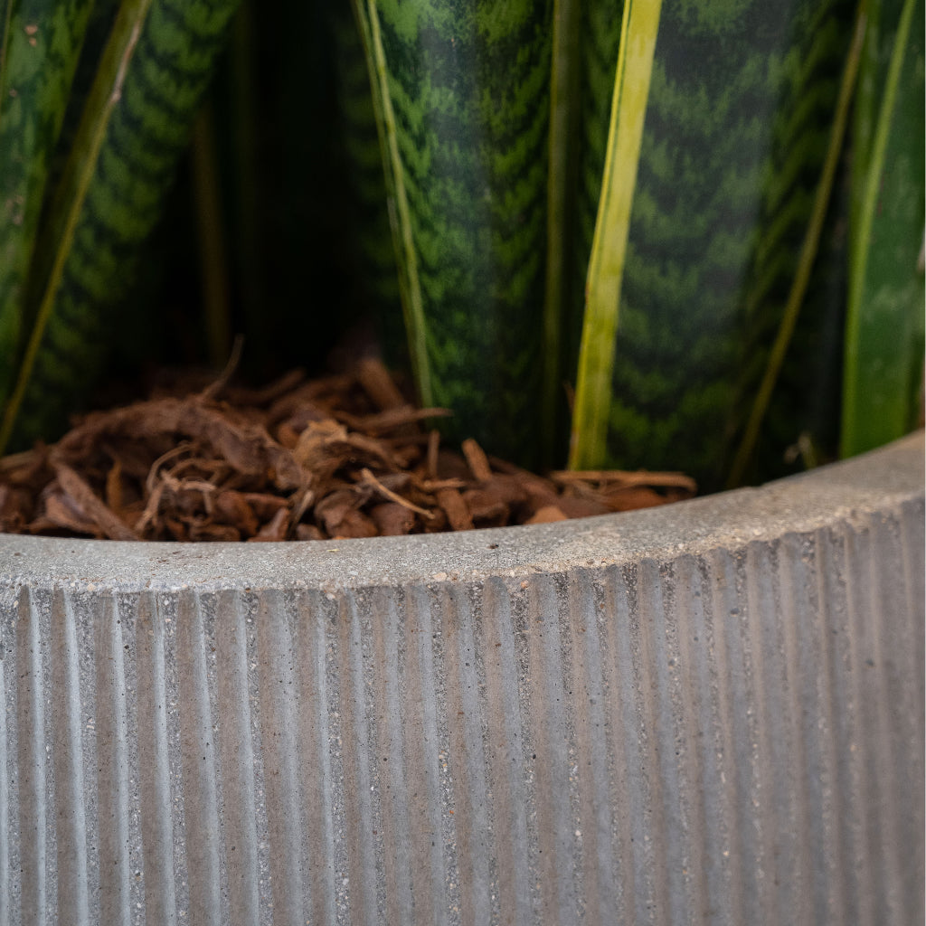 Patt High Plant Vase - Ridged Cement Edge