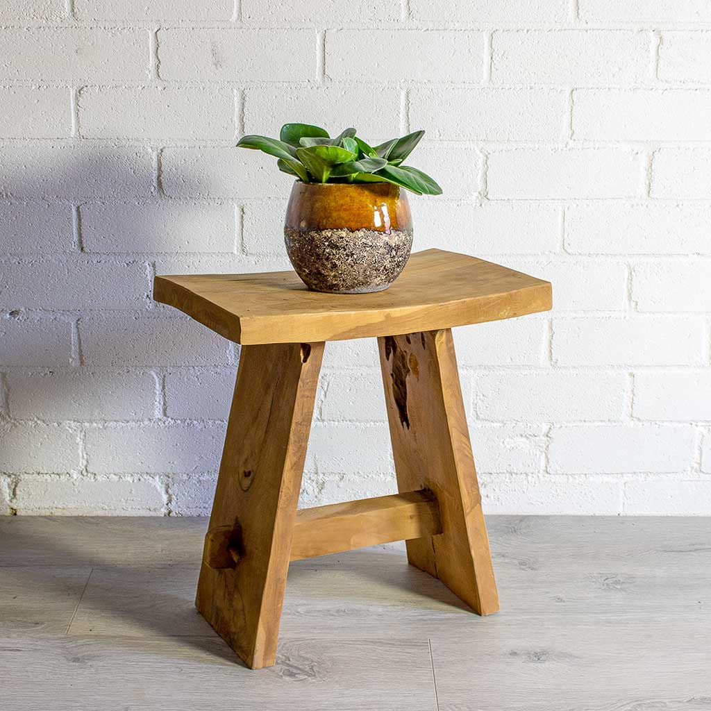 Peperomia obtusifolia Green Baby Rubber Plant & Lindy Plant Pot - Ochre