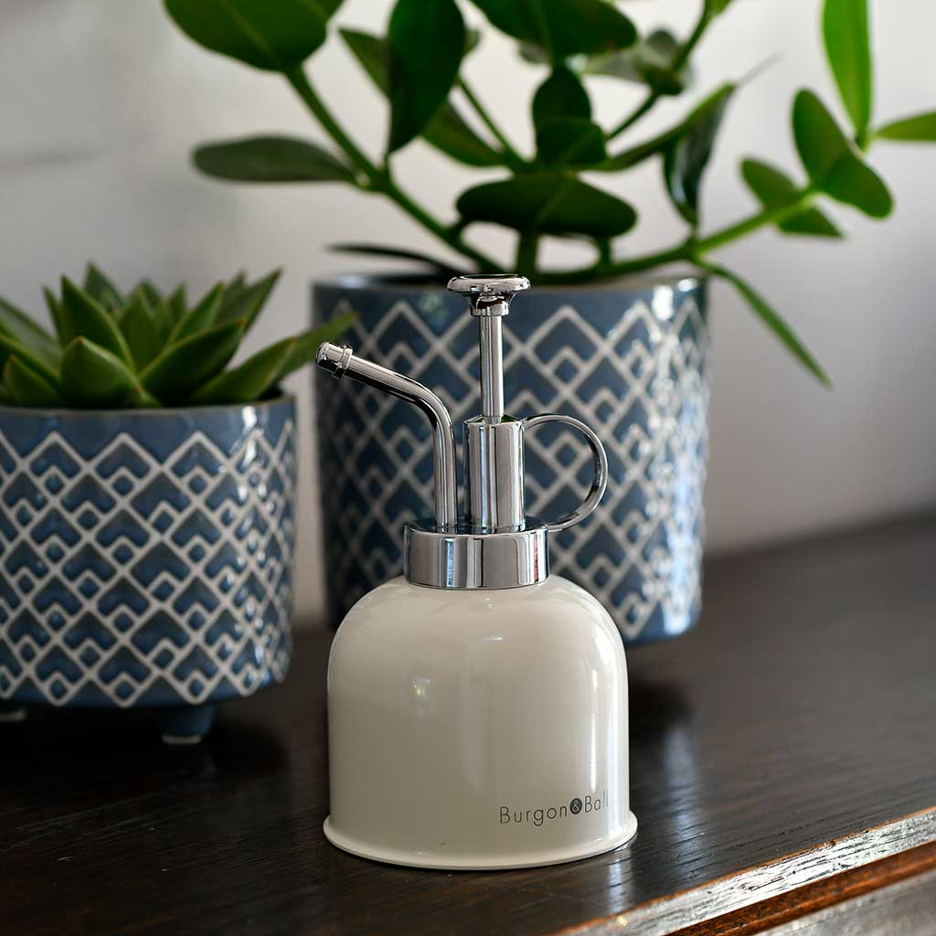 Indoor Plant Mister Stone with Houseplants and Plant Pots