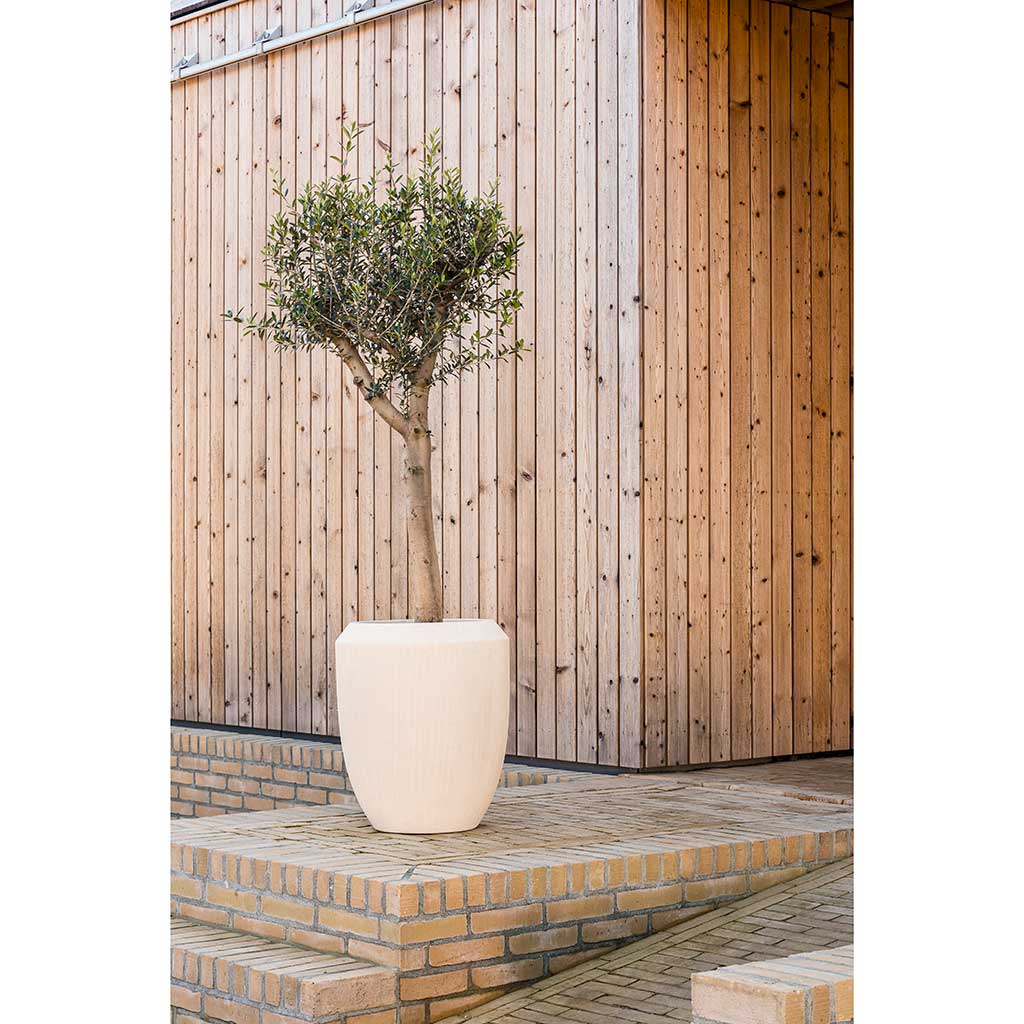 Polystone Coated Plain Coppa Planter Natural Lifestyle