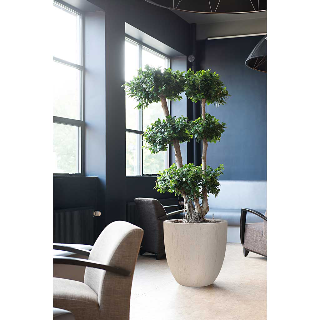 Raindrop Egg Planter - Stone - Indoor Planter