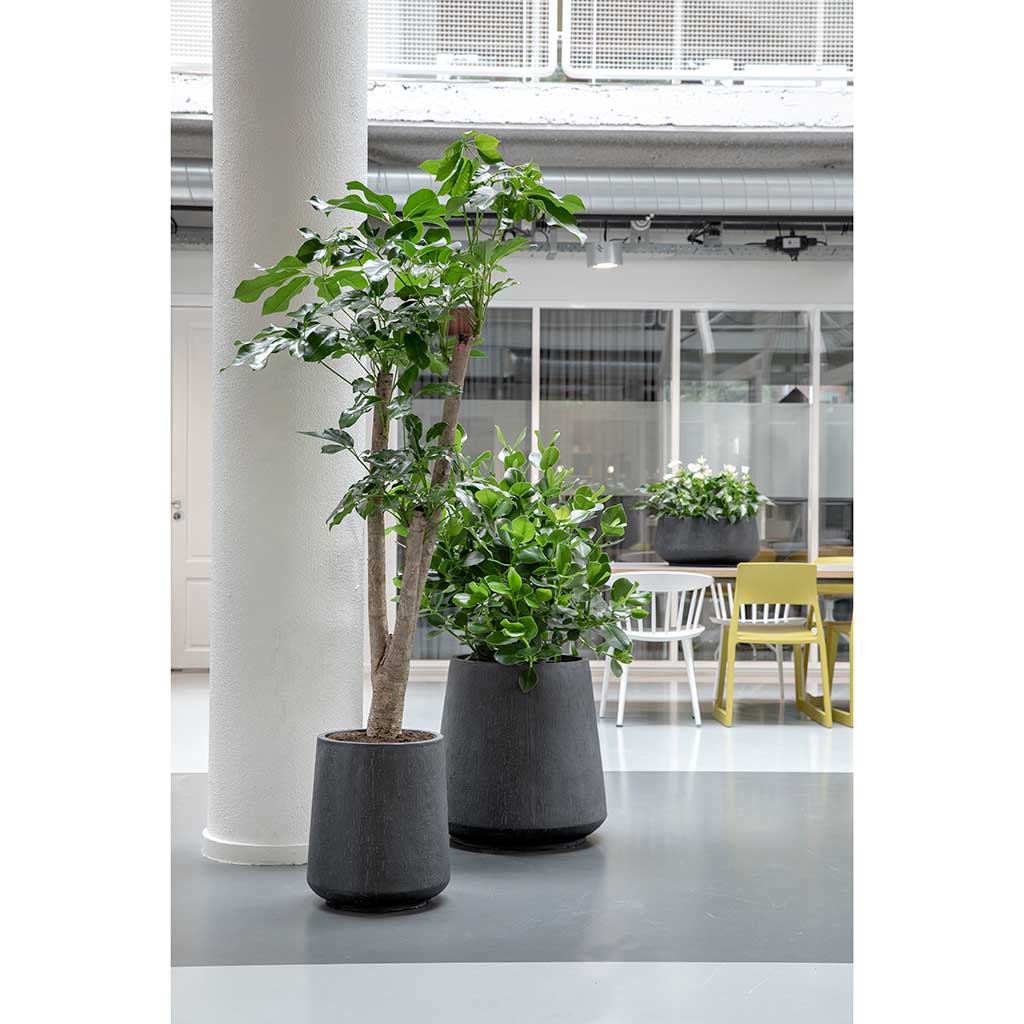 Raindrop Tube High Round Planters Anthracite