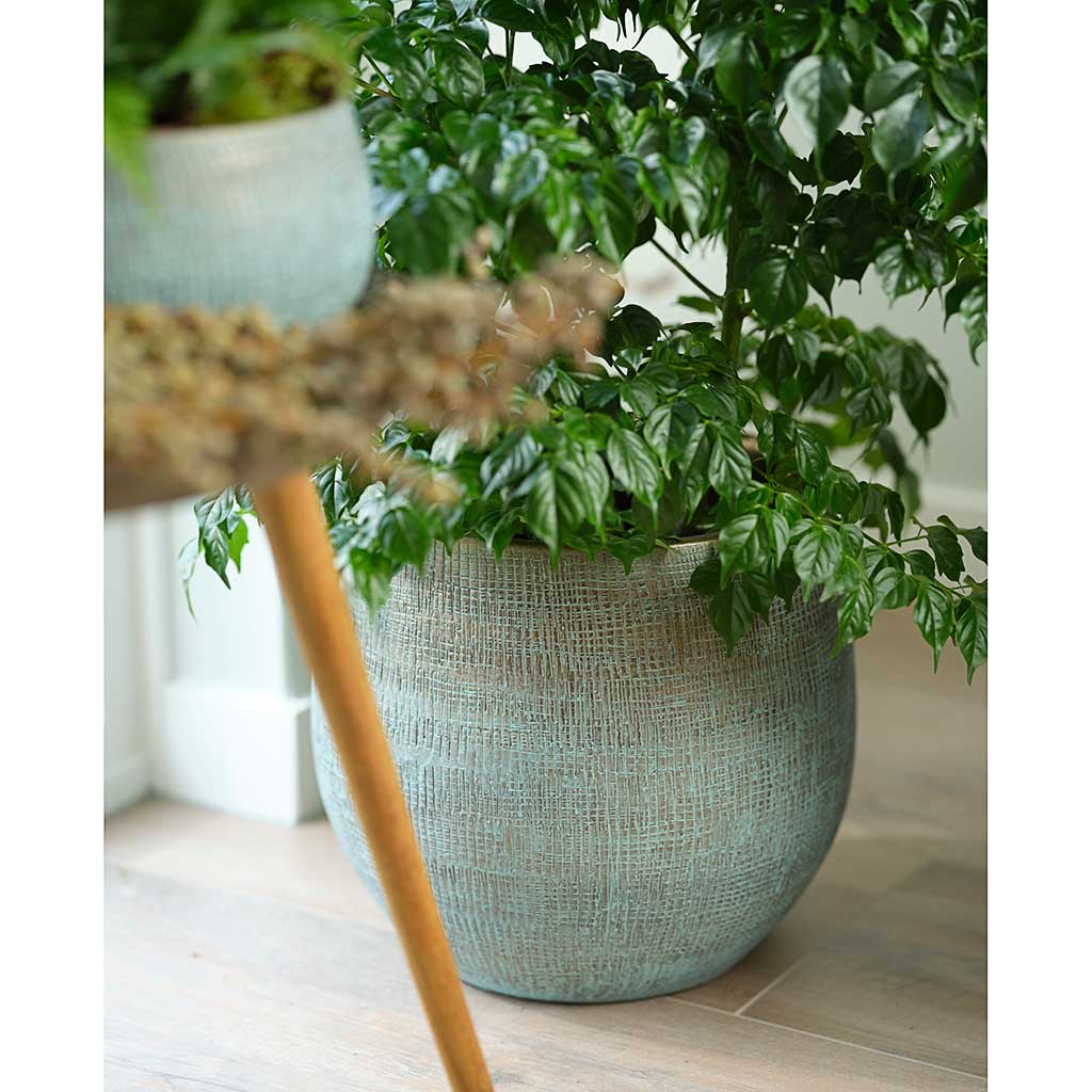 Ryan Plant Pot Blue Gold & Houseplants