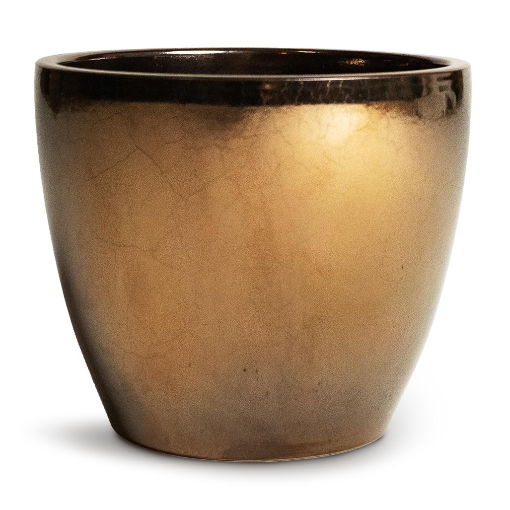 Sven Plant Pot - Gold