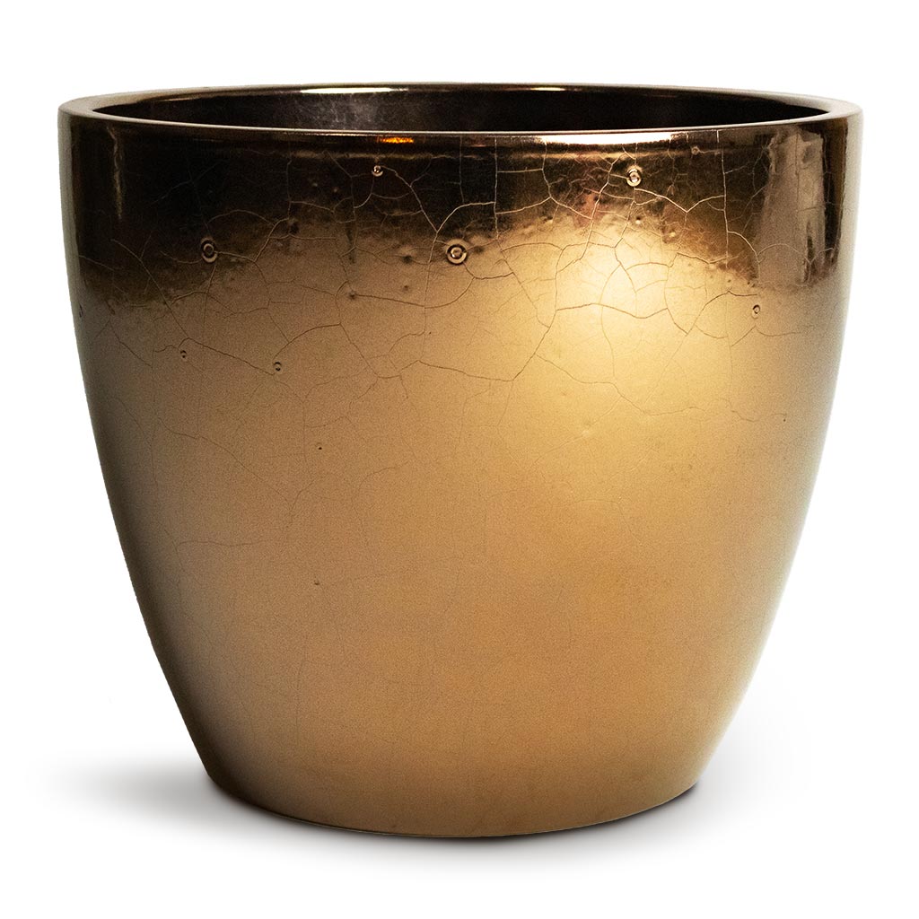 Sven Plant Pot - Gold