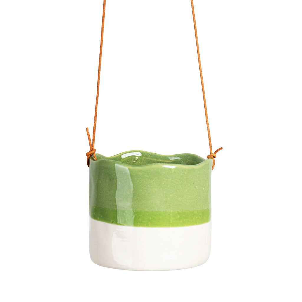 Wave Hanging Indoor Plant Pots