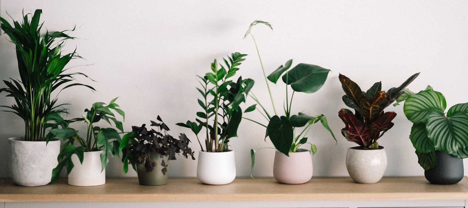 7 Baby Steps To Plant Parenthood